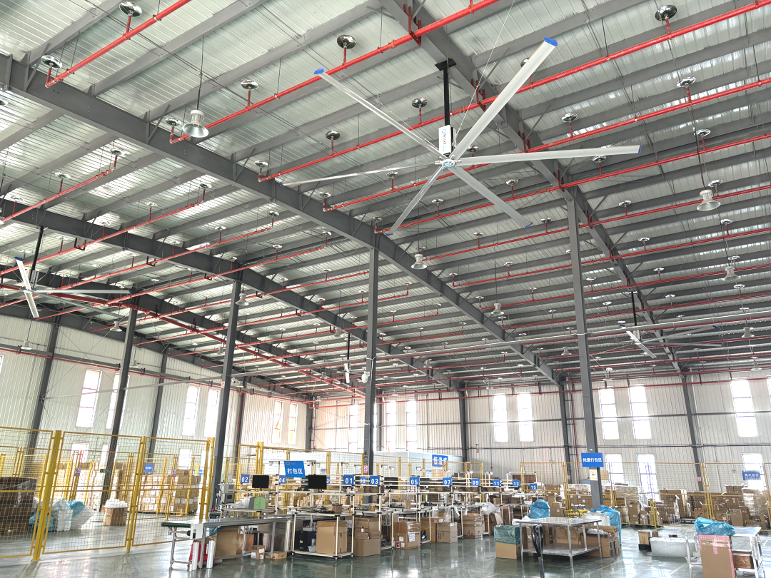 1710750223258225.jpg 1710750225929.jpg