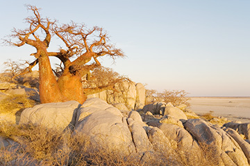 塞萊比-皮奎港口查詢_selebi pikwe港口代碼_博茨瓦納塞萊比-皮奎港口代碼