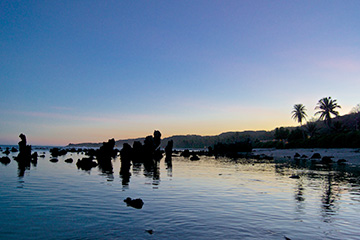 亞倫港口查詢_yaren港口代碼_瑙魯亞倫港口代碼