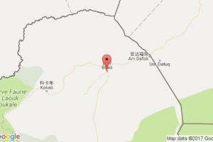 比勞港口查詢_birao港口代碼_中非比勞港口代碼