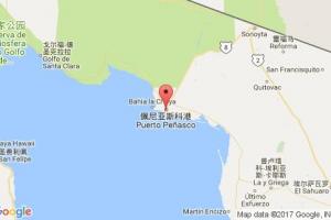 羅基波因特港口查詢_rocky point港口代碼_牙買(mǎi)加羅基波因特港口代碼