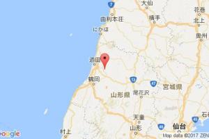 師崎港口查詢_shinsaki港口代碼_日本師崎港口代碼